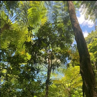 manisku01041996's profile picture. 
