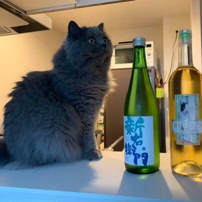 どらごん（Drago-iiX）さんのプロフィール画像