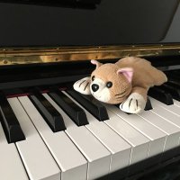 懐希 (@mu_l0ve_natuki) Twitter profile photo