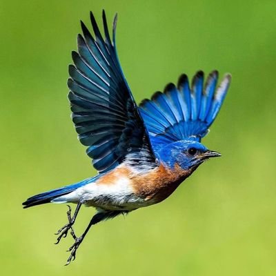 SravanMvam's profile picture. 