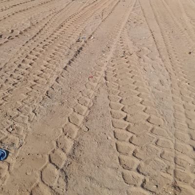 Sintoyet's profile picture. Farmer