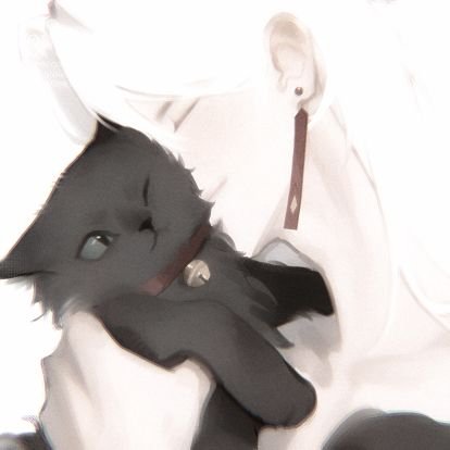 kaooorca1's profile picture. 