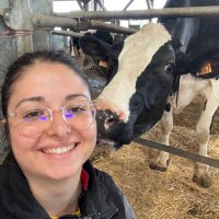 Valou (@vallandais) 's Twitter Profile Photo Valou (@vallandais) 's Twitter Profile Photo