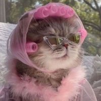 C.la.y (@lemmmon_pie) 's Twitter Profile