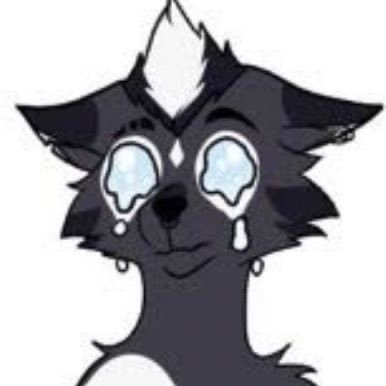 Grayさんのプロフィール画像