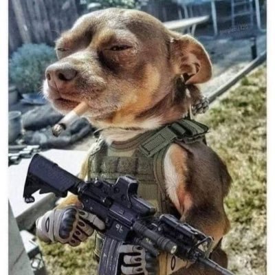 KatieJTaylor2's profile picture. I am just me