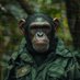 Crypto Caesar (@cryptocaesarta) Twitter profile photo Crypto Caesar (@cryptocaesarta) Twitter profile photo