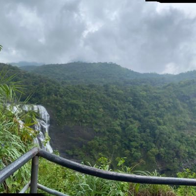 PeterDs71558331's profile picture. 