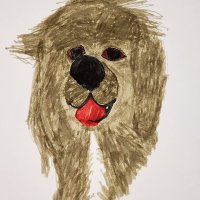 Kiefer with the Floofy Hair (@kieferpup) 's Twitter Profile