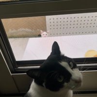 ❥❥mayu❥❥ (@mo_mayu_lfjr) 's Twitter Profile