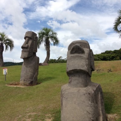 saekizm's profile picture. 