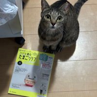 たかな (@takana_no_shi_o) 's Twitter Profile