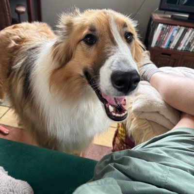 susiesky100's profile picture. 🇺🇦 Slava Ukraini 🟦 #StandWithPalestinianPeople#StandAgainstHamas#Antifa#Feminist#WokeAF#LoveIsLove#UNION#FuckTrump#FuckLeon I mostly follow back