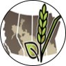 pcdmn's profile picture. Twitter account for the Prairie Crop Disease Monitoring Network (PCDMN)