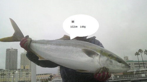 greenauto58's profile picture. 