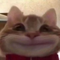 benji (@unstableaimer) 's Twitter Profile