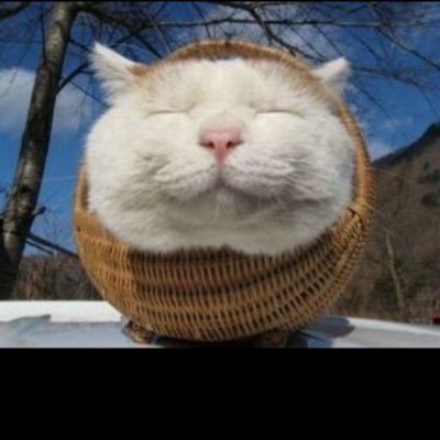 kWhHMoSf4Q0tyY9's profile picture. 心に絵を描いています。