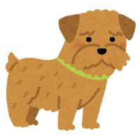 しぶちゃん (@wsibuo57515) 's Twitter Profile