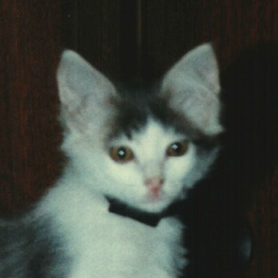 QPdoll2016's profile picture. 🇺🇸🇺🇸🇺🇸🇺🇸🇺🇸