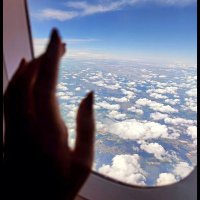 زوجة ايلون ماسك 🌍✈❤ (@5o_5o) 's Twitter Profile