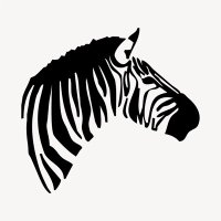 Normal Zebra ADHD Coaching (@normalzebraadhd) 's Twitter Profile
