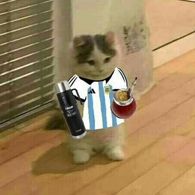 when osrs latinamerican server?
Twitch Partner 🇦🇷 main: xLina - hcim: 170ms