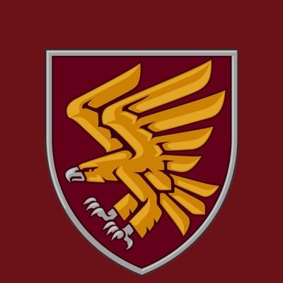 Офіційна публічна сторінка 95 окремої десантно-штурмової Поліської бригади ЗС України