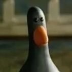 numnms's profile picture. 