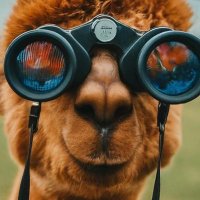 David Goldberg ๐ฆ (@davidrgoldberg) 's Twitter Profile Photo David Goldberg ๐ฆ (@davidrgoldberg) 's Twitter Profile Photo