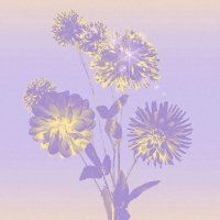 KOMOMO💜ＪＪ👶SEQUENCE #4💐 (@komomolovejj) 's Twitter Profile Photo