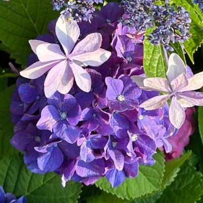 me24chan's profile picture. RPoff推奨/おもんないクセにバズってる奴見るとイライラする。