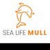 SealifeMull (@sealifemull) Twitter profile photo SealifeMull (@sealifemull) Twitter profile photo