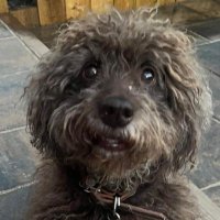 Tim Churchill (@timchurchill71) Twitter profile photo