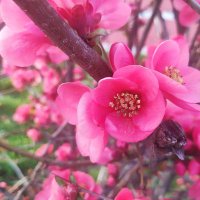 şengül (@engl5522867307) 's Twitter Profile