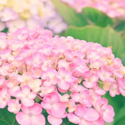 【web制作を仕事にしたい2児の母】働き方を変えたくて、育休中にスキルを身につけようと奮闘中| コーディング・デザイン(webページ/LP/バナー)|Famm24.7卒| CodeUps