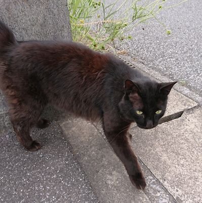 エノさんのプロフィール画像