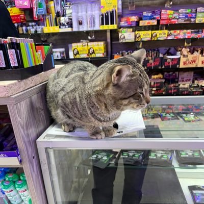 aidsnyc's profile picture. 