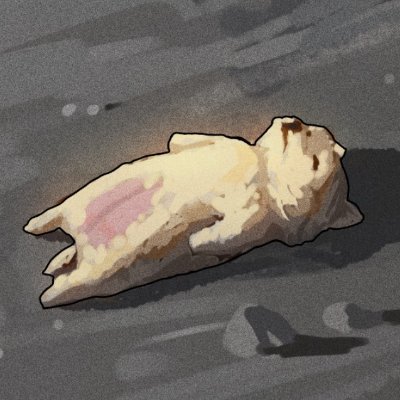 NosliNさんのプロフィール画像