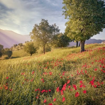 فارغ از هر زنده باد و مرده باد ، سر به راه مملکت باید نهاد