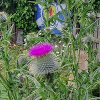 ๐ด๓ ง๓ ข๓ ณ๓ ฃ๓ ด๓ ฟ Col de L'Ecosse ๐ฆ (@indiescotland1) 's Twitter Profile