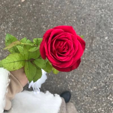 Ezdeharbanyame1's profile picture. Law || YU ⚖️