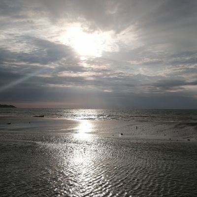 Caribe05's profile picture. Sin justicia no hay paz.