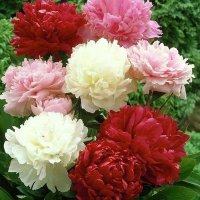 Polina Zgabaia (@pzgabaia) 's Twitter Profile Photo Polina Zgabaia (@pzgabaia) 's Twitter Profile Photo