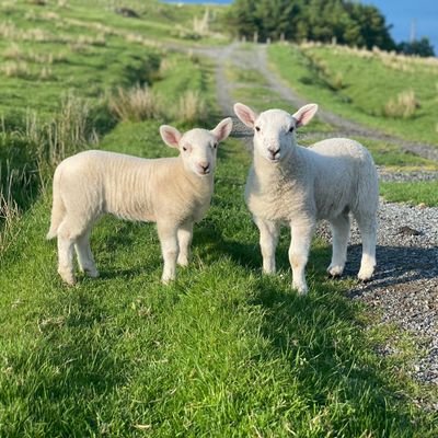 _b00tparty's profile picture. 