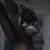 Kaz but lewd (@datkaz_ad) Twitter profile photo Kaz but lewd (@datkaz_ad) Twitter profile photo