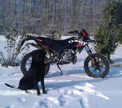 JustinRemijnse's profile picture. 