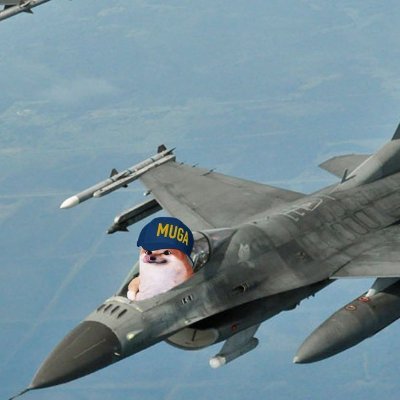 || 18 || Student pilot & Aspiring F-22 pilot || Bodybuilding, MMA || Aaaiiii Schumacher!🇩🇪🏎️🏁 || Certified Gym rat || you block me I win ||
