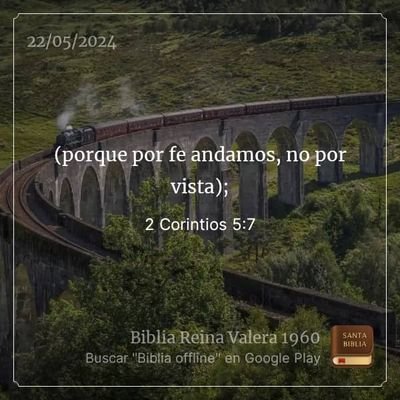 sperandioarturo's profile picture. 