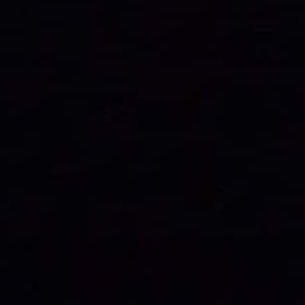 codyjanis's profile picture. 