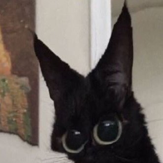 creem cheamsさんのプロフィール画像